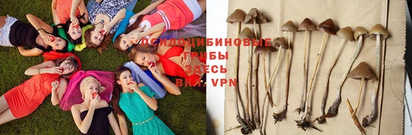 бошки Верея